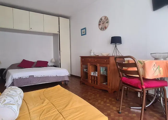 Studio Avec Parking, Terrasse Ensoleillee Et Tennis A Collioure - Fr-1-309-234